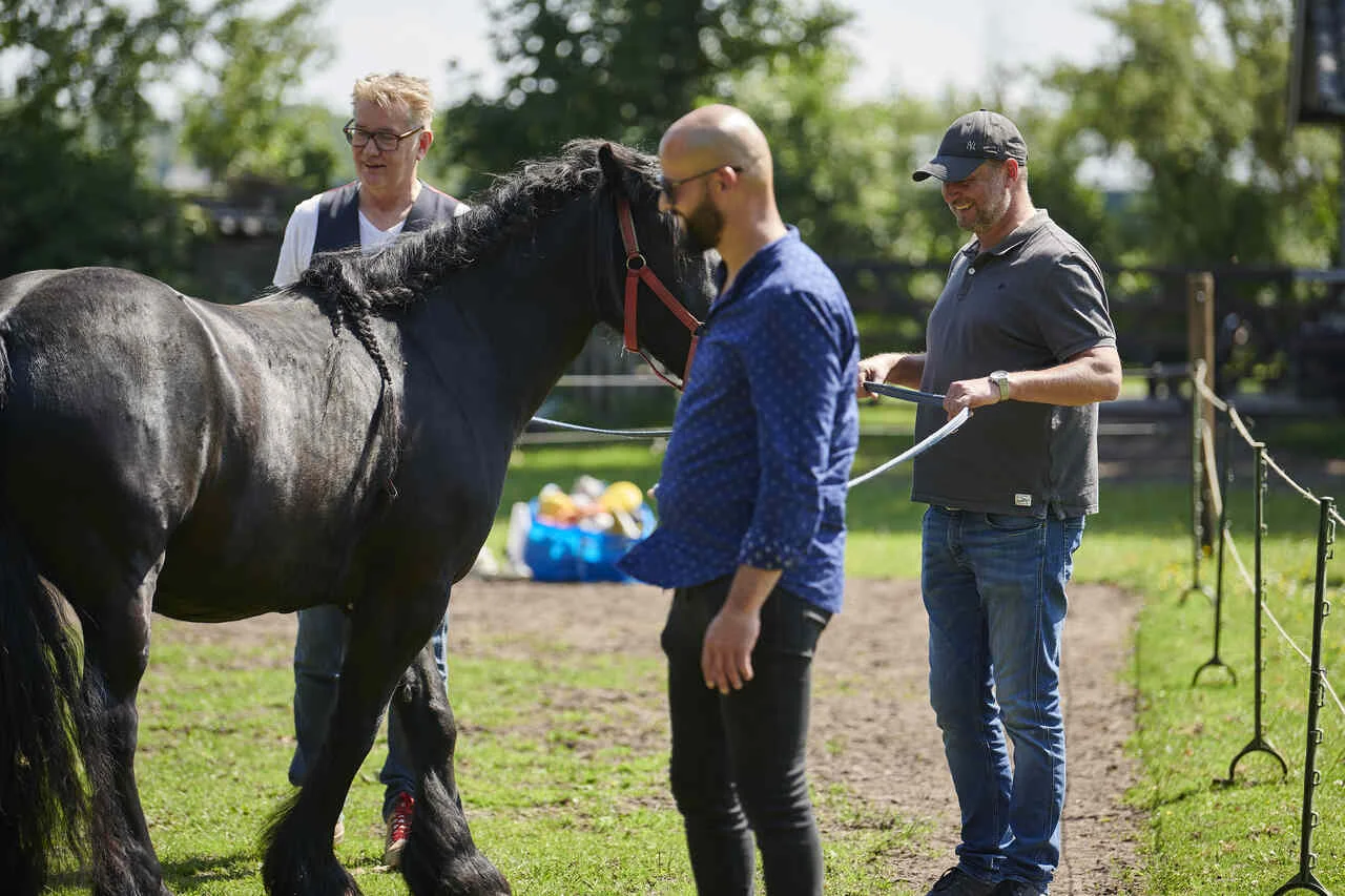 spiegelen met paarden coaching groep mensen met paard in de wei