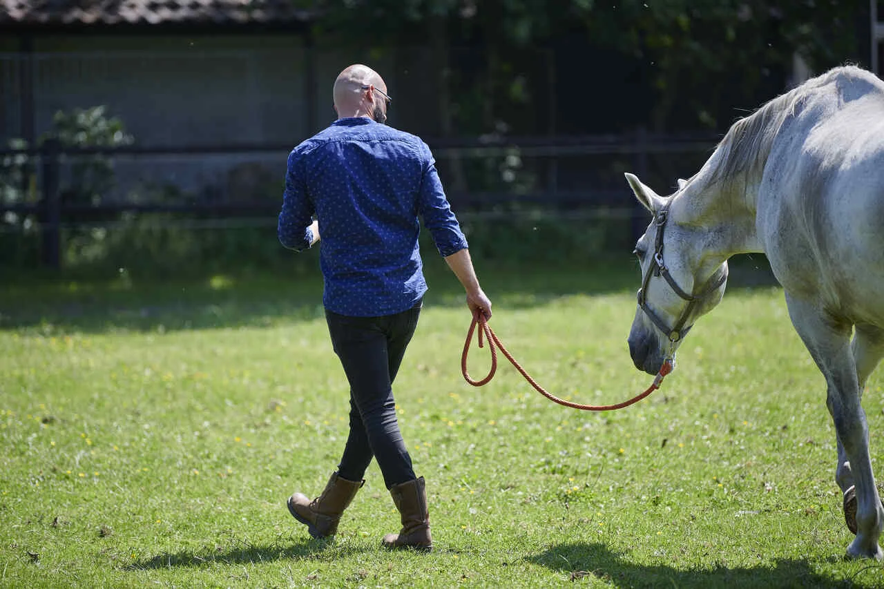 spiegelen met paarden persoon leidt het paard in de wei