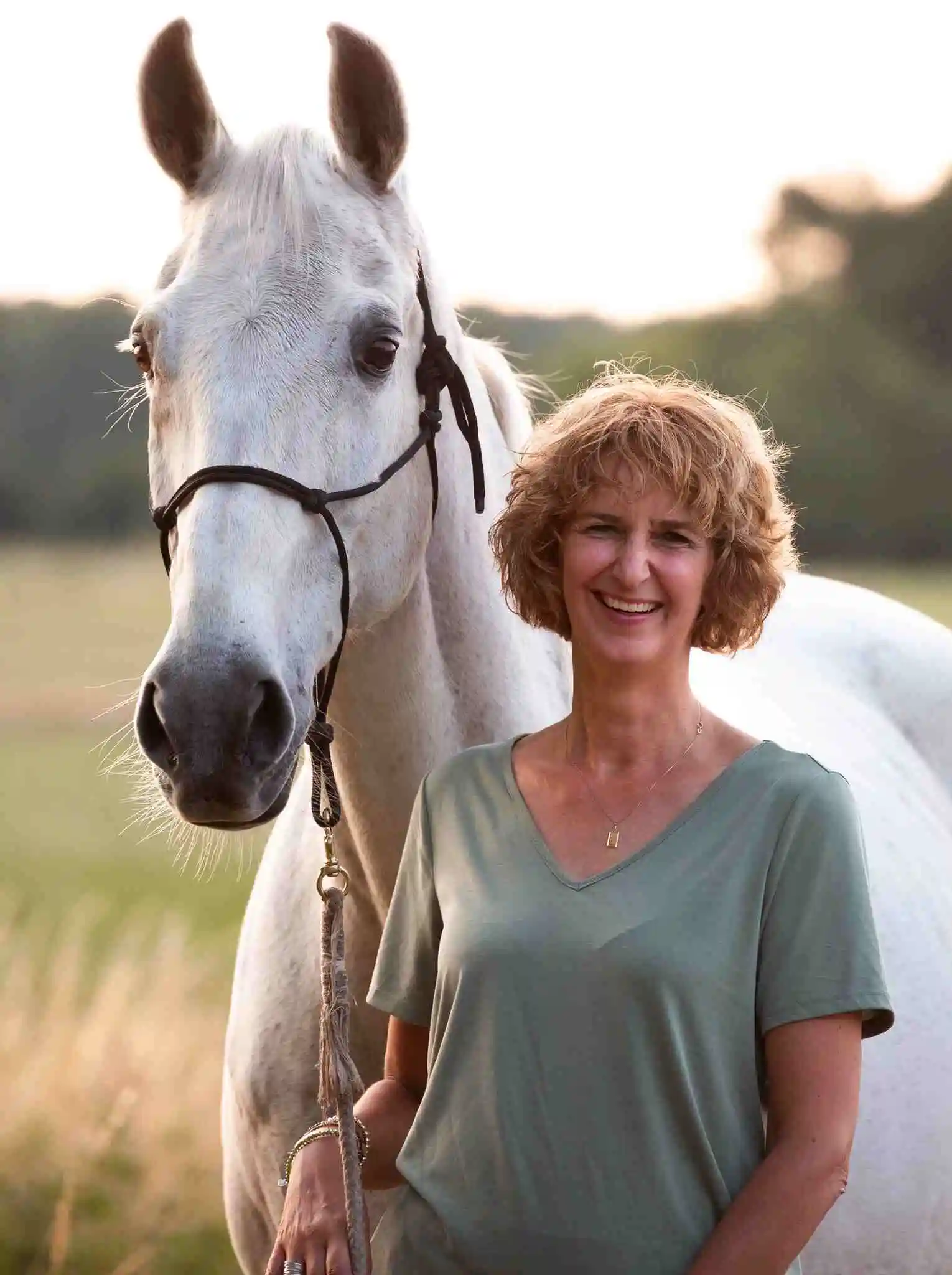 over mandy godschalk paardencoach
