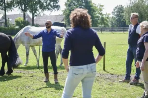 sessie teamontwikkeling met paarden in de wei met manager en team